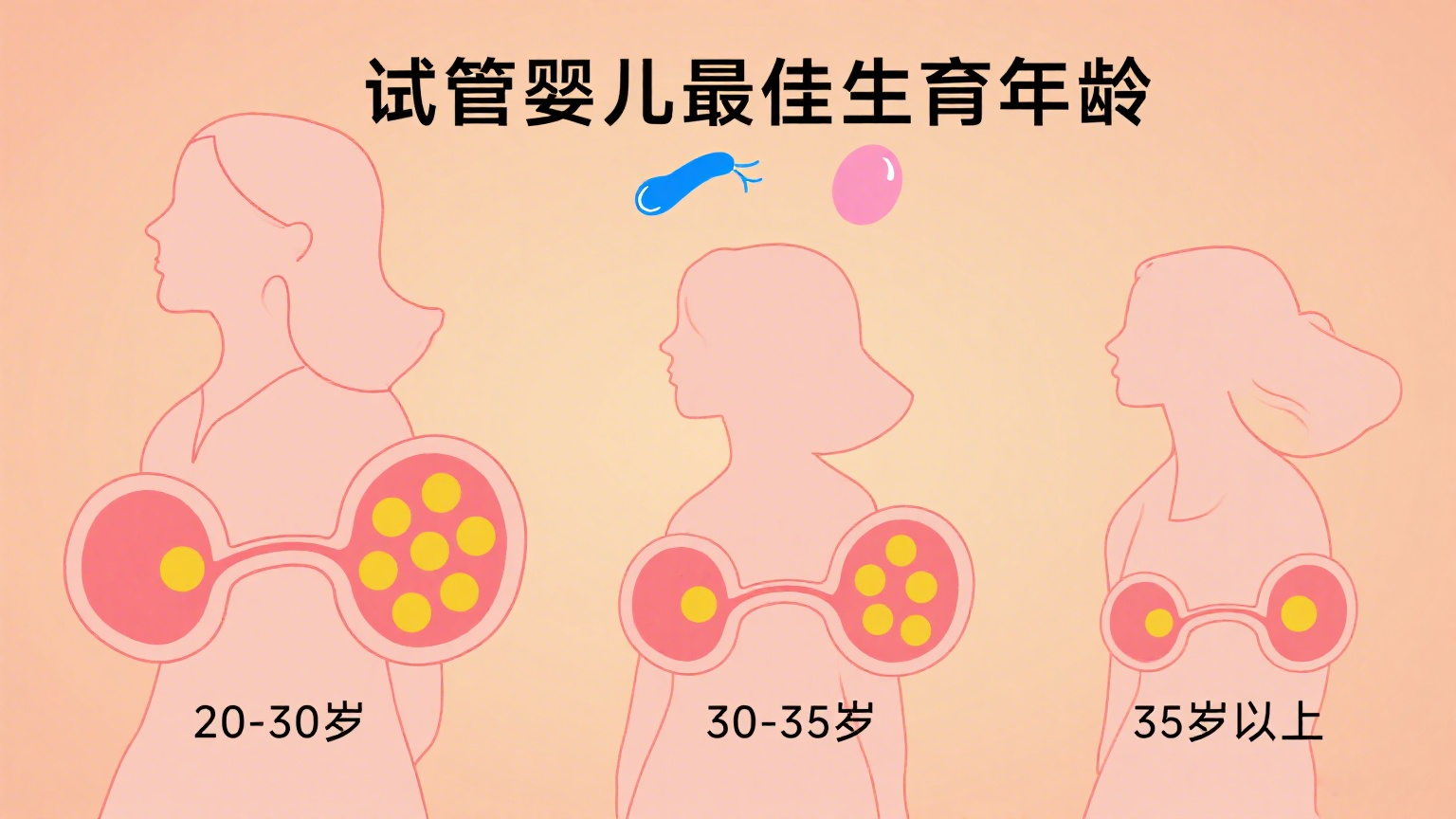 锦欣国际图文制作 (1).png