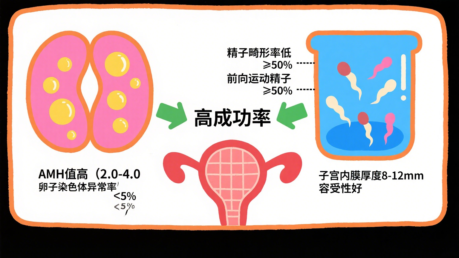 锦欣国际图文制作 (3).png