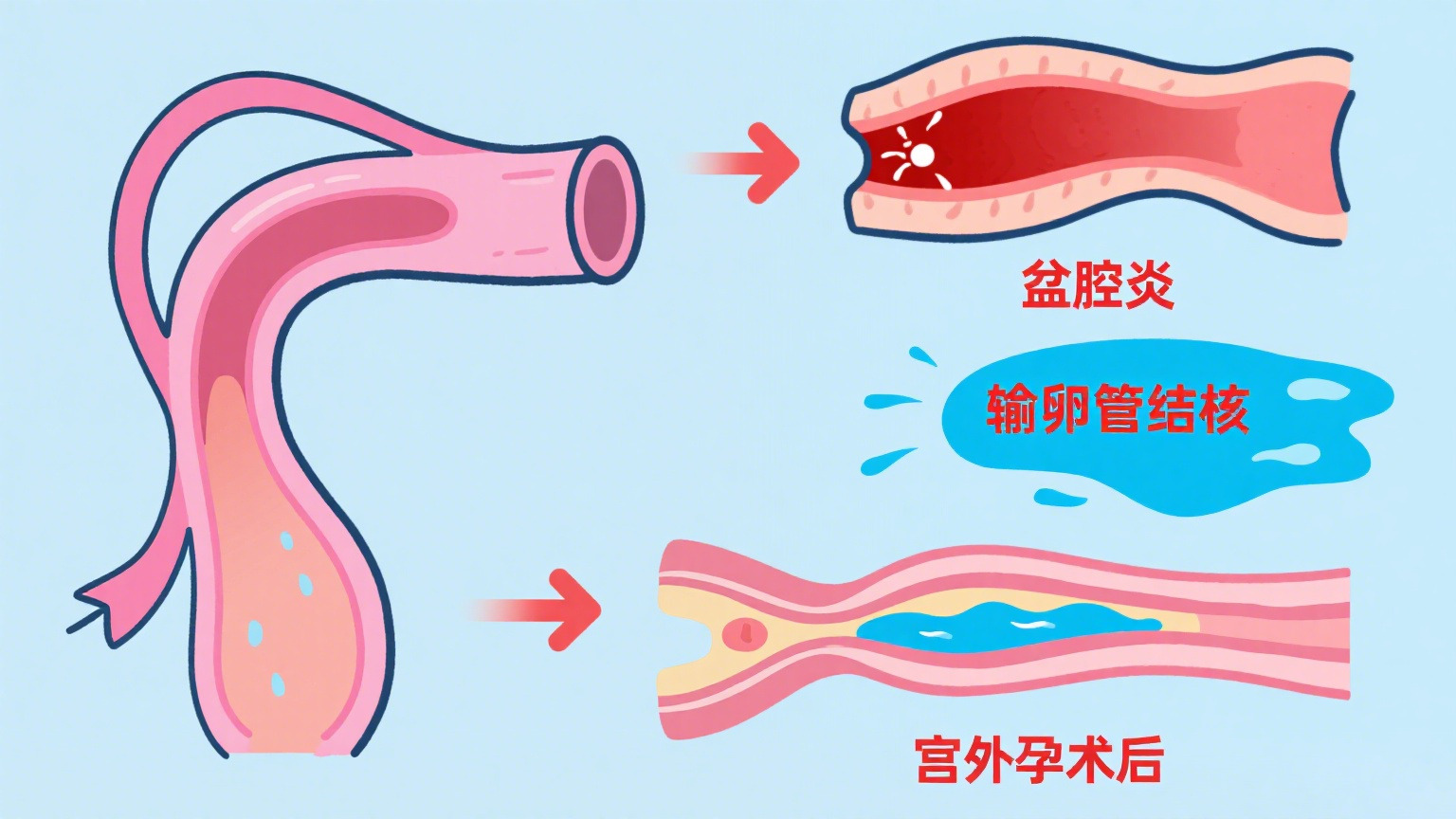 锦欣国际图文制作 (3).png