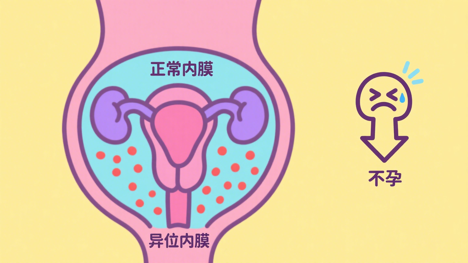 锦欣国际图文制作 (2).png