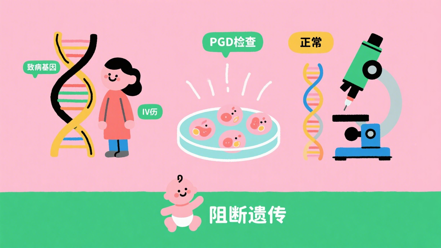 锦欣国际图文制作 (1).png